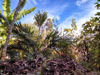 Hotel Canto Da Coruja