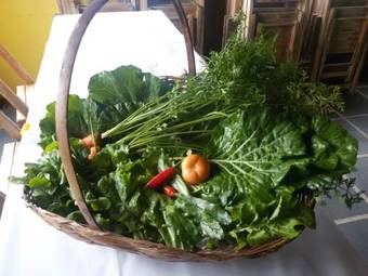 Hostal Ponta Da Barca