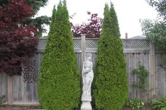 Twin Maples Bed And Breakfast