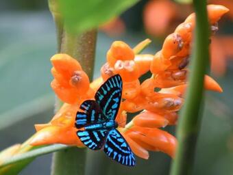 Agroturismo Reserva Natural Rancho Caman�