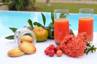 Habitation Cantamerle