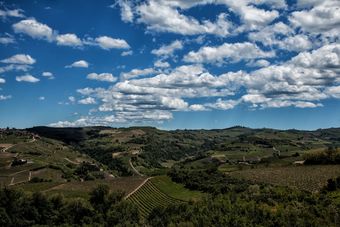 Apartamento Il Vecchio Cortile Barbaresco