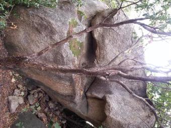 Bed & Breakfast Yin & Yang