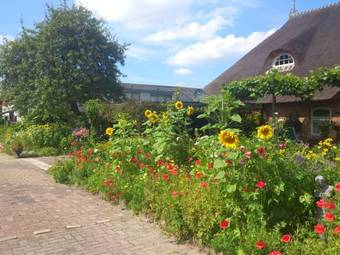 B&B Het Farm-house Natuurpark