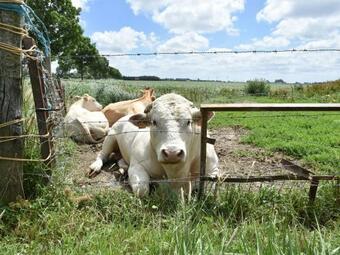 Modern Holiday Home In Bruinisse Netherlands Near The Lake