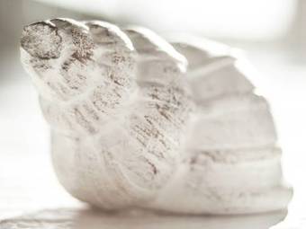 Holiday Home Zeeuwse Weelde I