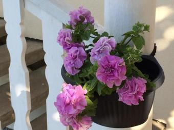 Hostal Willa Aleksandra