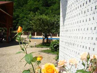 Hostal Pensiunea Sanziana