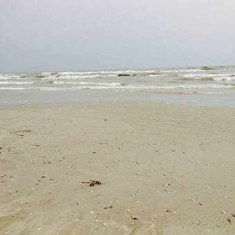 Hostal Casuta Lavandei