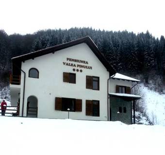 Hostal Pensiunea Valea Pinului