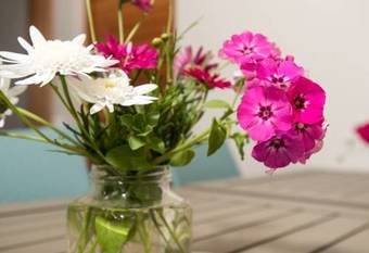 Hostal Galloway Guest House