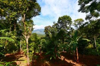 Agroturismo Zee's Garden
