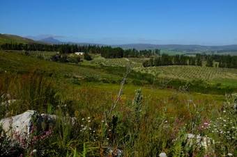 Agroturismo Goodwill Mountain Farm