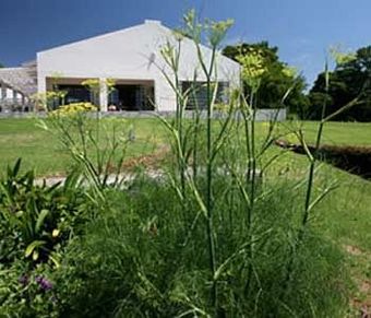 Bed & Breakfast Kings Walden Garden Manor