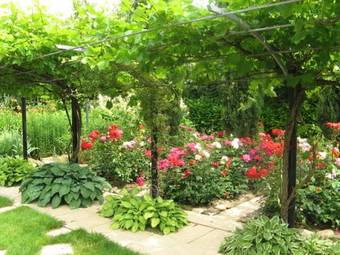 Hotel Hofmann Zur M�hle