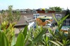 Residencia Boulevard City Pension And Apartments