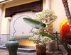 Albergue Dar Taliwint
