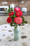 Strandf�rd? Apartman