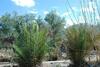 Agroturismo Dar Diafa