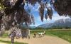 Agroturismo Agriturismo San Floreano