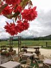 Agroturismo Agriturismo San Floreano