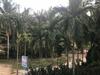 Family Homestay
