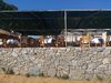 Aparthotel Minerva Beach