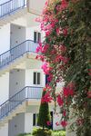 Aparthotel Sea Melody Beach Hotel & Apartments