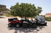 Aparthotel Faliraki Dream Studios & Apartments