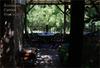 Bed & Breakfast La Suite Del Eume