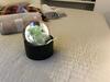 Apartamento Parenthese