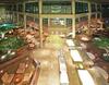 Hotel Crowne Plaza Little Rock