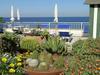 Bed & Breakfast Giuggiulena