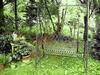 Apartamento Ferienwohnungen-willrich-ferienwohnung-1