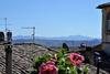 Il Palazzo Boutique B&B