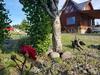 Lodge Caba�as Trevelin