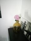 Apartments Mirela