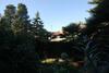 Apartment Novigrad 7335b