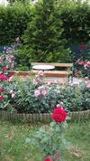 Hostal Brigitta Vend�gh�z