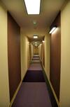Apartament Kewin
