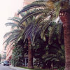 Hotel Tramontana