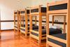 Orchid Hostels