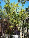 Habitaciones La Playa