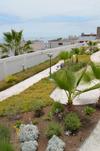 Apartamento Terranova Frente Al Mar