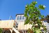 Lotus Surf House