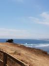 Lotus Surf House