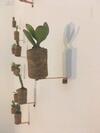 Apartamento Gallery House_val