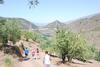 Agroturismo Cortijo Las Tres Rosas