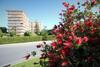 Apartamentos Creu De Sant Pol 2 Habitaciones