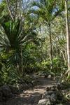 Bed & Breakfast La Selva Mariposa
